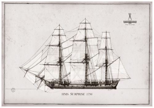 1796 HMS Surprise pen ink study by Tony Fernandes